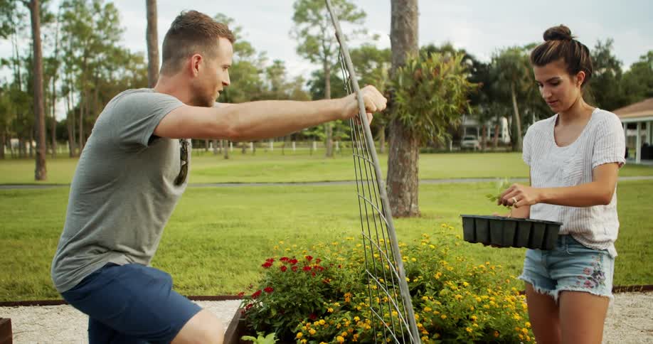 The video is an outdoor shot featuring a man planting a metal trellis in a garden bed while a woman holds a tray of seedlings next to him they appear to be a couple working together on their home gardening project on a sunny day