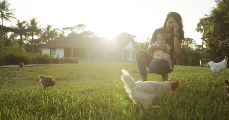Woman holds a baby while watching chickens on the lawn at sunset