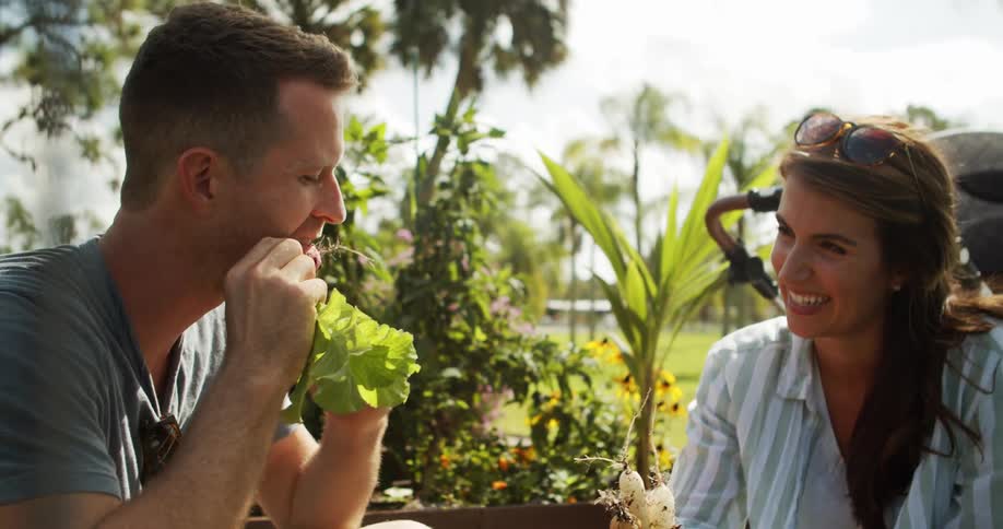 The video is a mediumcloseup of a man and woman tending to a raised garden bed in bright daylight they are harvesting radishes and smiling as they show each other their colorful produce