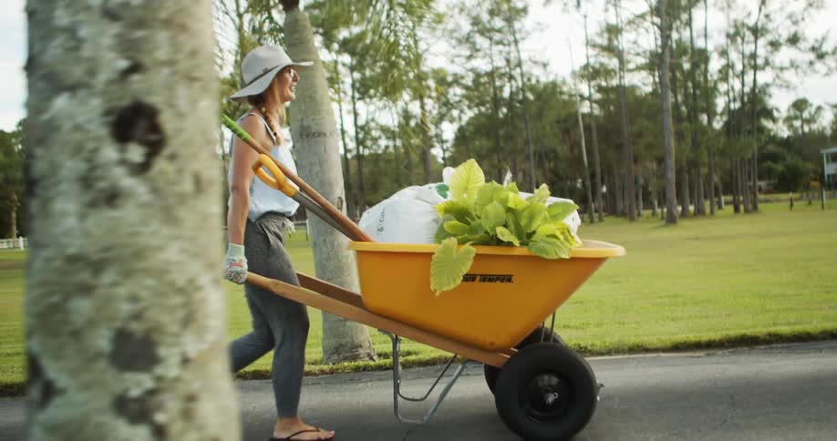 The video shows a woman in a sunhat pushing a yellow wheelbarrow filled with plants and gardening supplies down a paved pathway the scene is set outdoors in a grassy area with tall trees and palm trees indicating she is working in a home garden