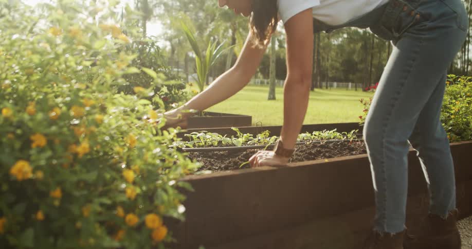The video is a mediumcloseup of a woman in denim overalls and a white shirt tending to a raised garden bed in bright daylight she is weeding or planting near yellow flowers and new rows of seedlings in the soil