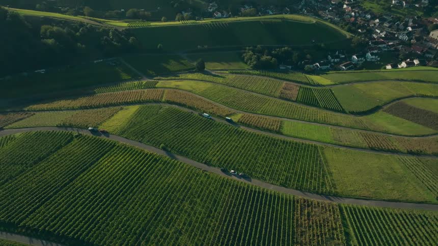 Vineyards arranged in parallel rows cover hills with winding road and village in the background
