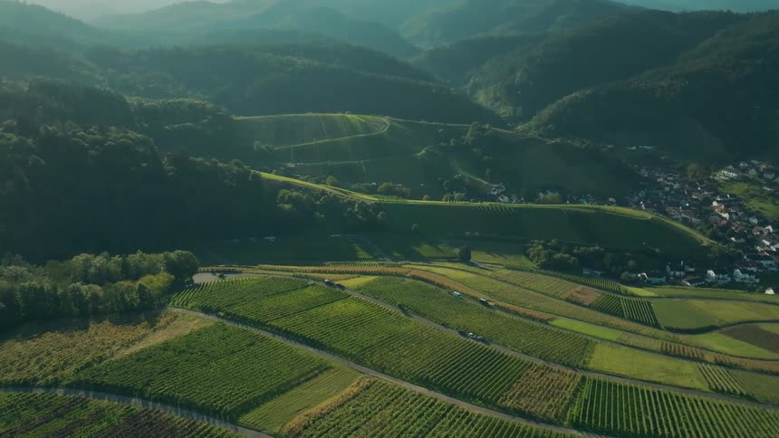 Vast rolling hills are covered in vineyards and forests with a small village nestled in the valley below