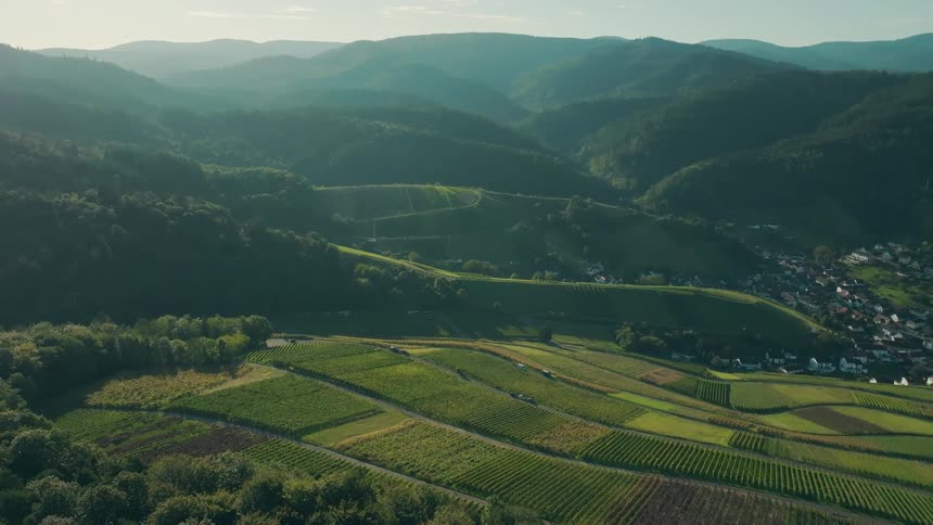 Terraced fields stretch across a lush valley among hills and winding roads