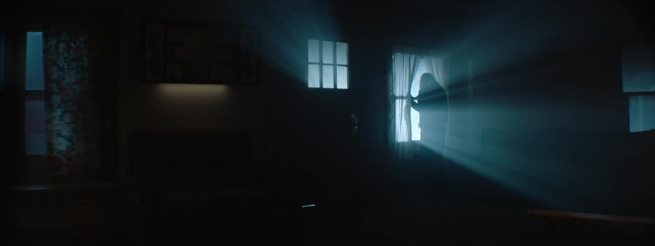 A woman looks out a window to observe flashing lights