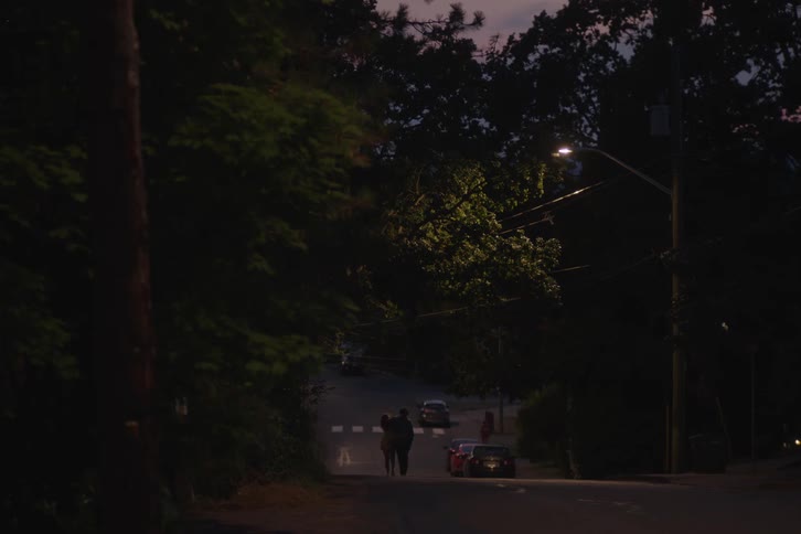 A boy and a girl walking on a treelined road with a single overhead streetlight illuminating the area and the road surface where some vehicles are parked