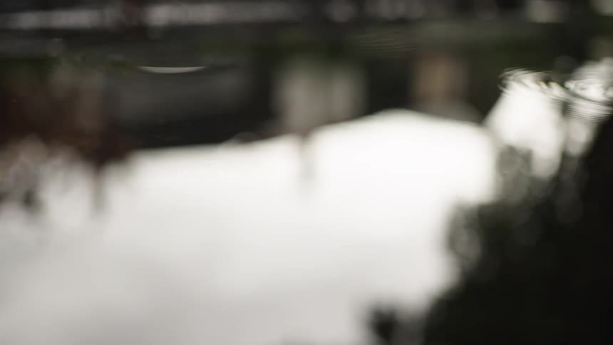 Closeup of a house and trees reflected in the perfectly still water