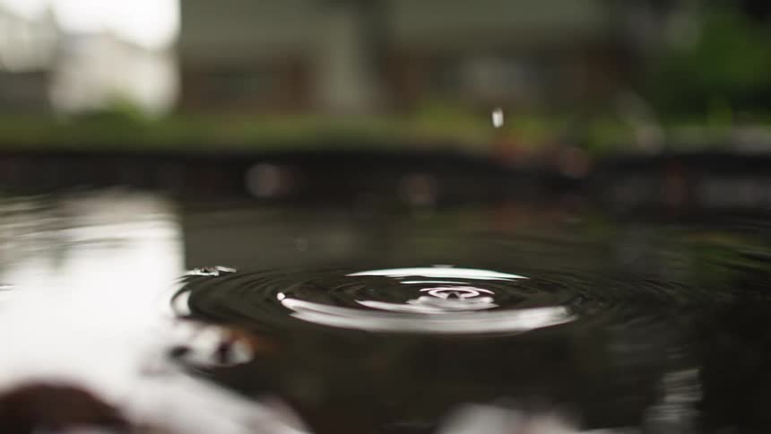 A very close view shows slow motion droplets of water falling into a dark pool creating distinct ripple rings on the surface with a blurred background of greenery