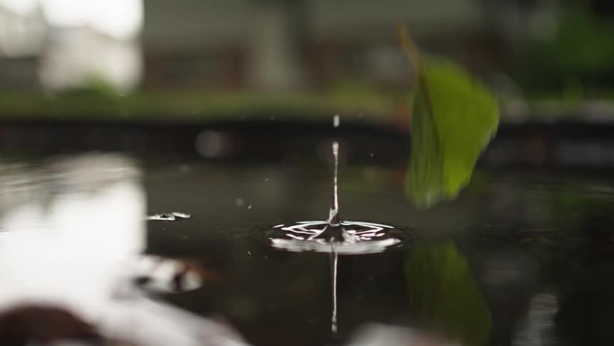 Still water surface as individual drops fall and create distinct spreading circular ripples and splashes with blurred light and colors reflected from an indistinct background