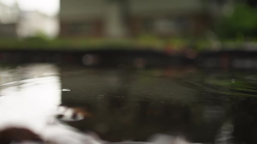 A slow motion view shows rain droplets falling onto a dark water puddle creating ripples before a small green leaf falls into the water and floats on the surface