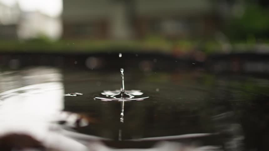 Water drops gently into a pond nestled in the woods at midday sending soft ripples across the sunlit surface