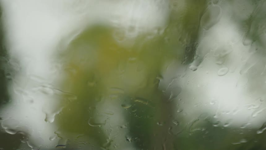 The video shows a closeup view looking through a rainstreaked window or windshieldthe background is a blurry abstract mix of green and white likely foliage and the sky and a windshield wiper sweeps across the glass clearing the water