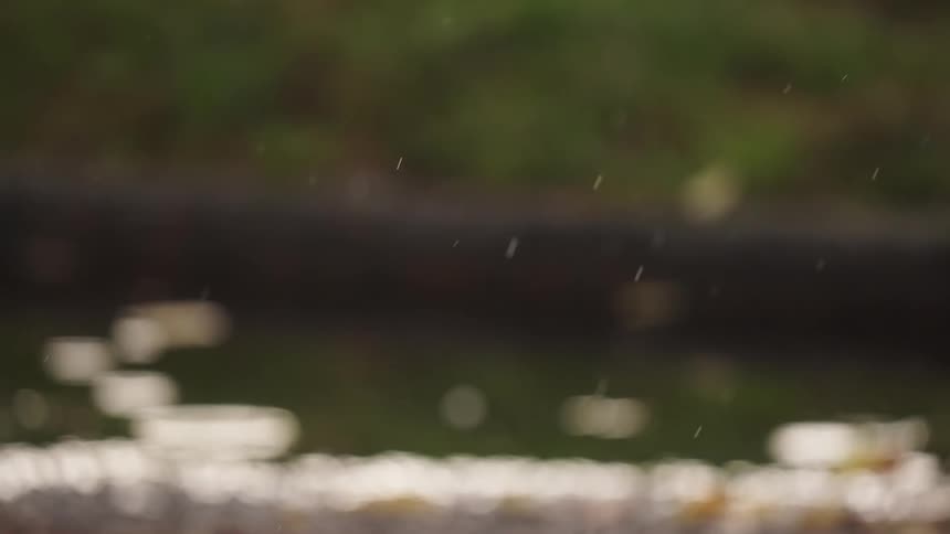 Static closeup shot focuses on numerous small rain droplets falling rapidly and vertically through the air against a dark and green outoffocus background