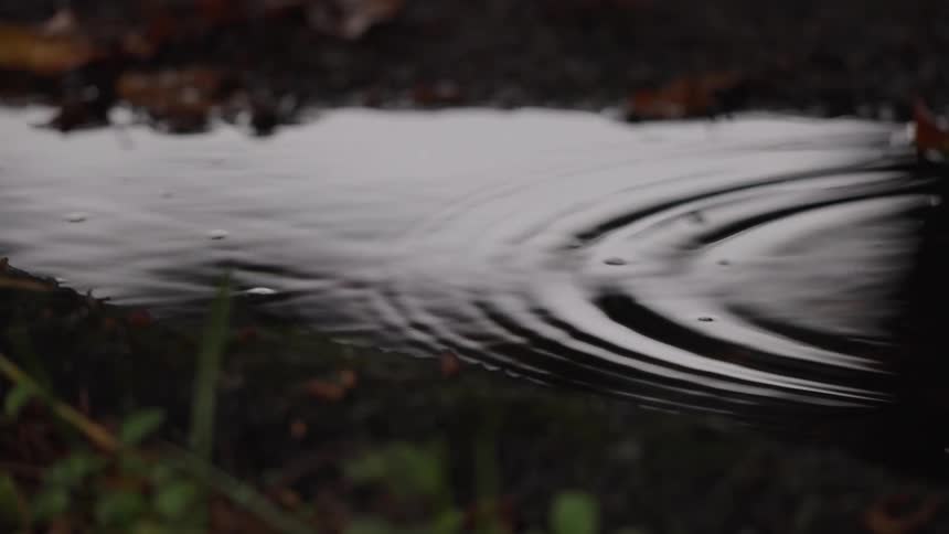 The surface of a puddle or shallow stream where small waves and concentric ripples move rapidly across the water with the dark indistinct surrounding ground material and sparse foreground plant life visible at the edges