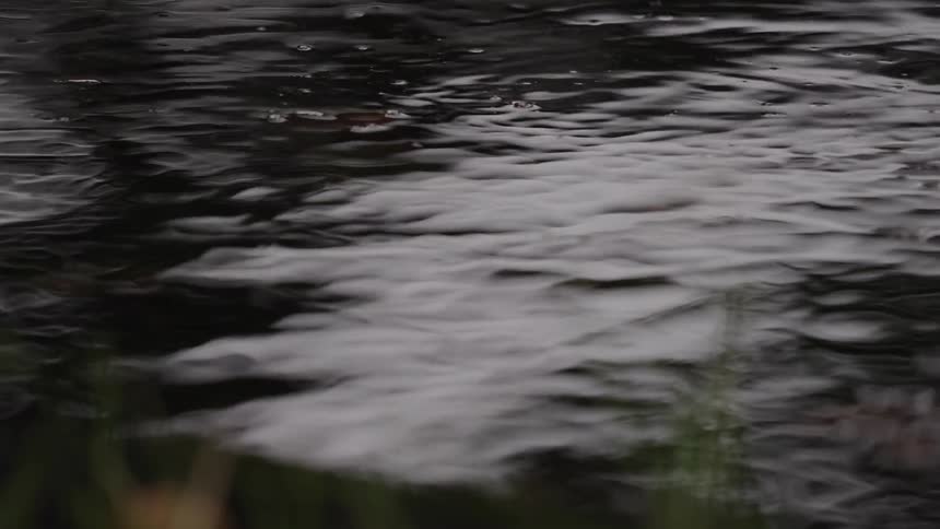 Closeup of water drops creating ripples with reflections on the water surface