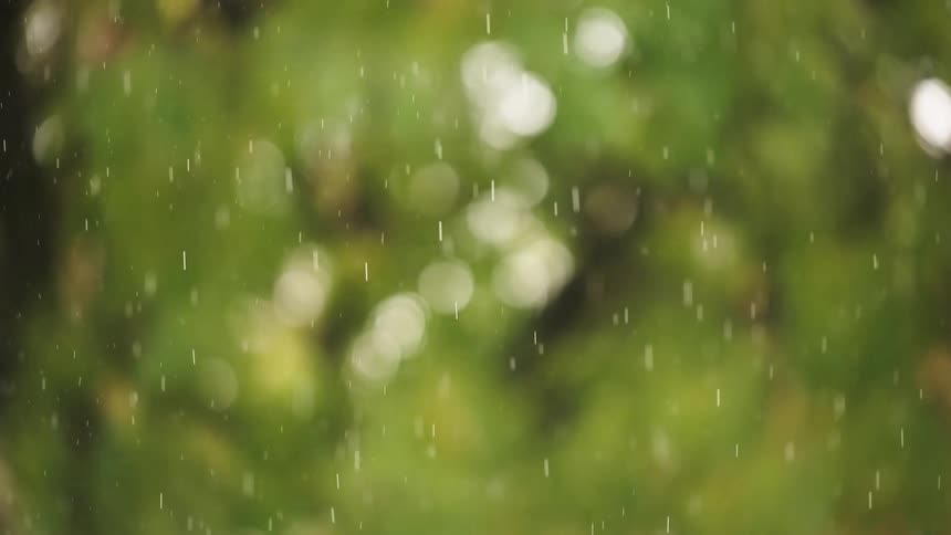 Rain falls during a summer day