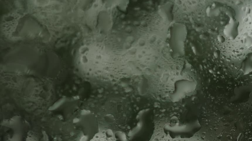 Closeup of green foliage through a glass window with light filtering in