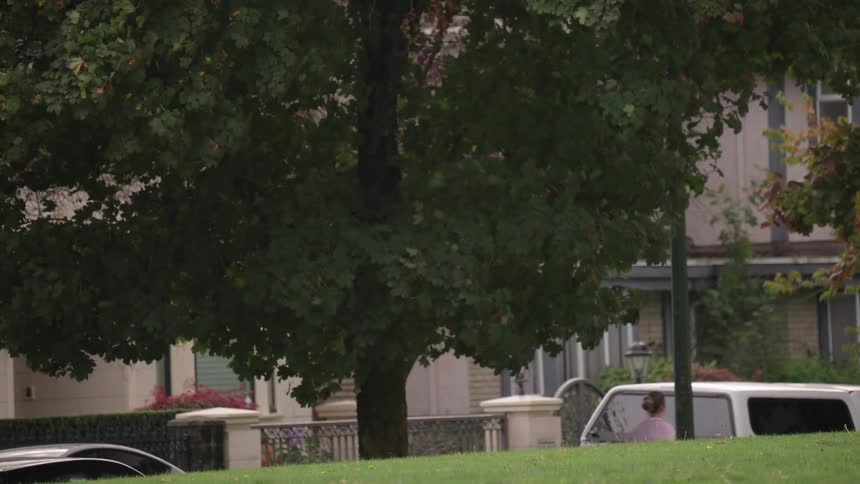 A suburban street lined with trees and parked cars