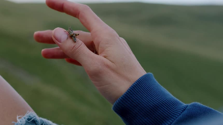 A lady sits calmly on a sunlit grassland at midday gently observing a small bug perched on her finger