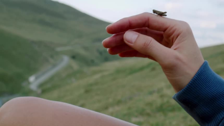 Closeup of a grasshopper on a hand with a mountain landscape behind