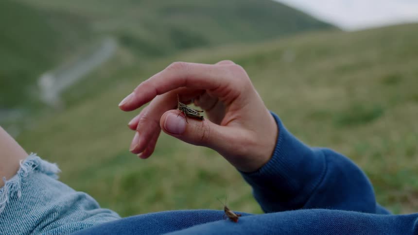 A hand rests on a blue sleeve as a grasshopper perches delicately on a fingertip while the person reclines on a grassy hillside