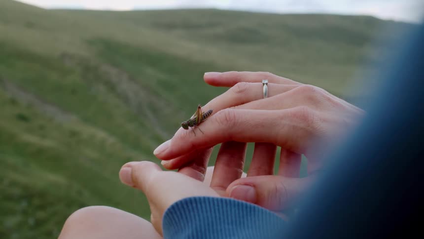 A lady sits peacefully on a sunlit grassland at midday observing a small bug perched on her ringed finger