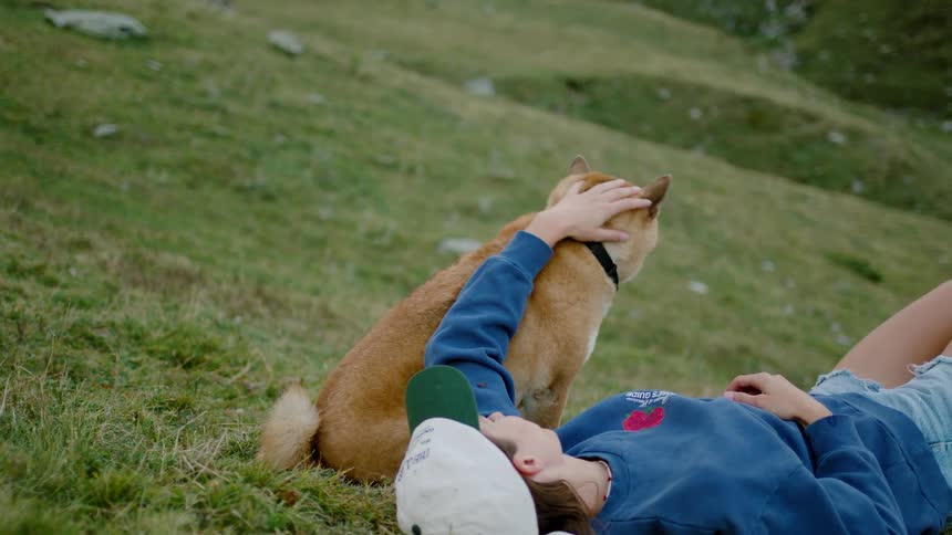 Person lying on the grass petting a brown dog