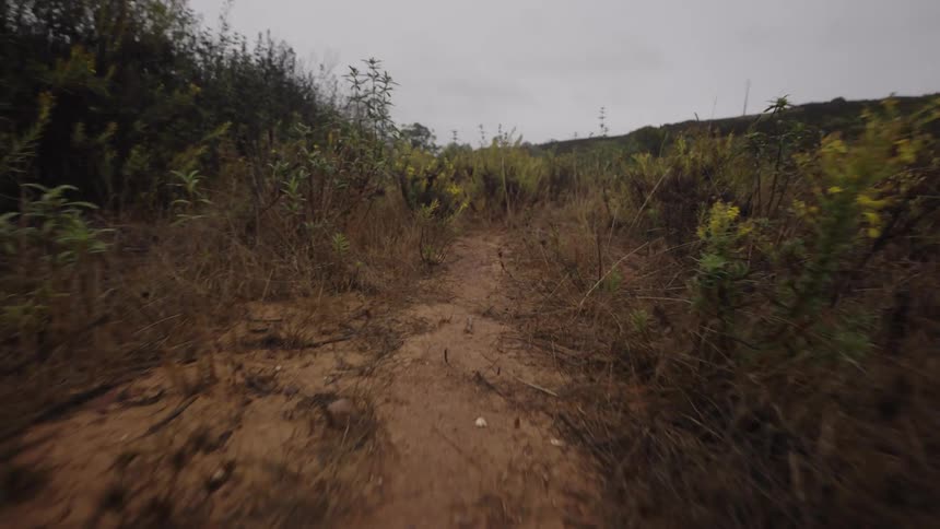 Dirt trail surrounded by dry vegetation under a cloudy sky