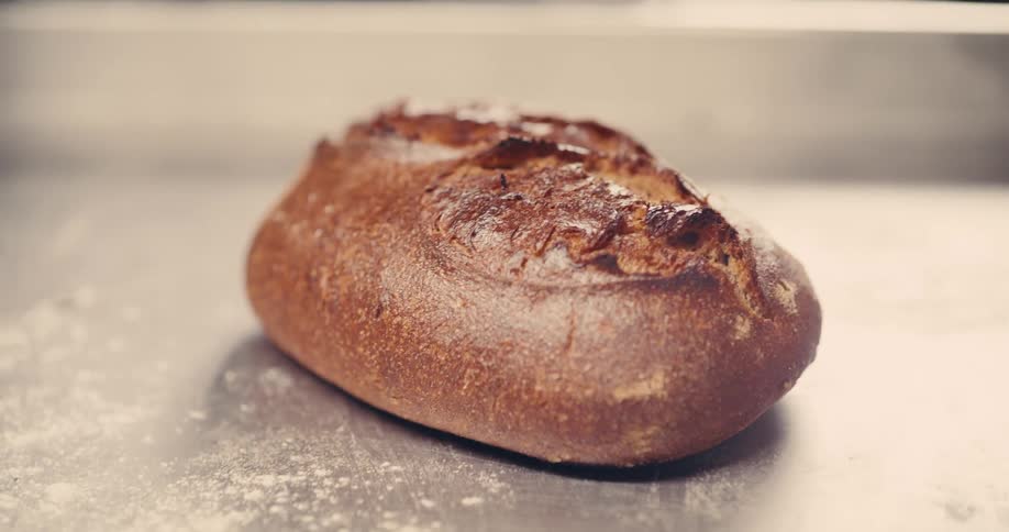 Loaf of recently baked bread on a metal surface indoors