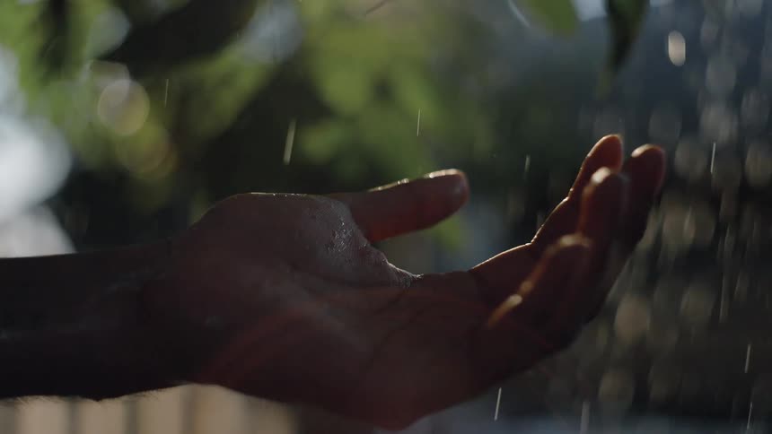 The video is a closeup shot of a persons cupped hands held palmsupsmall raindrops or water droplets are falling onto the hands against a blurry sundappled green background