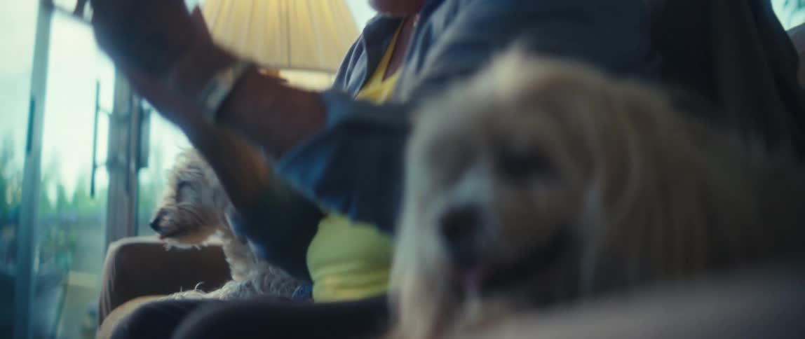 Elderly woman petting dogs in a room lit by natural light