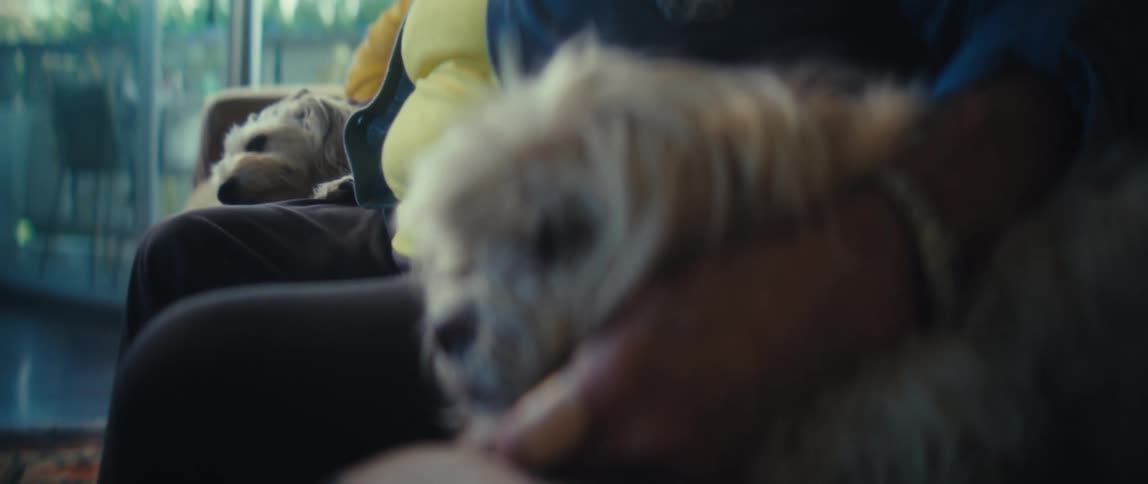 Elderly woman sitting on the couch at home pets both her dogs