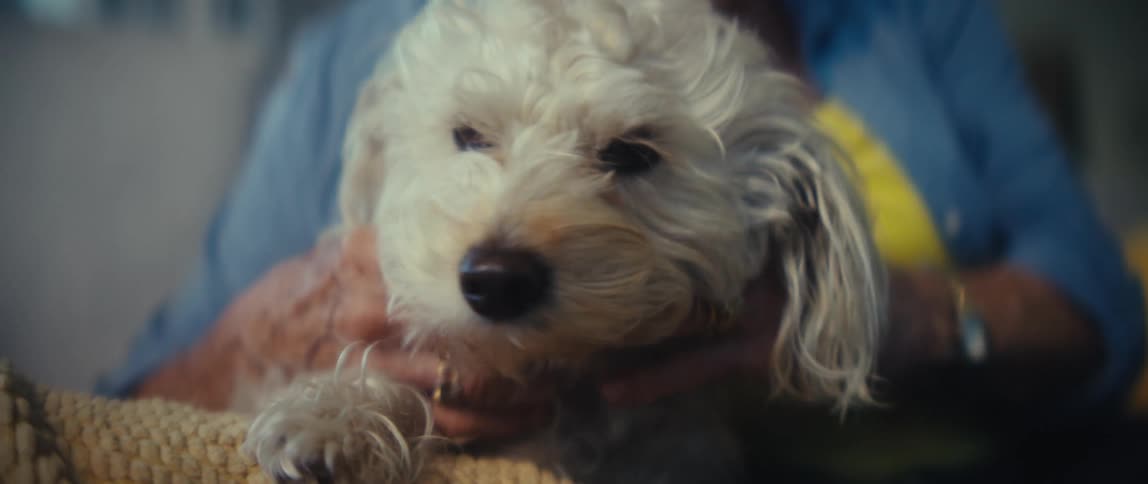 Elderly woman petting a lighthaired dog on her lap