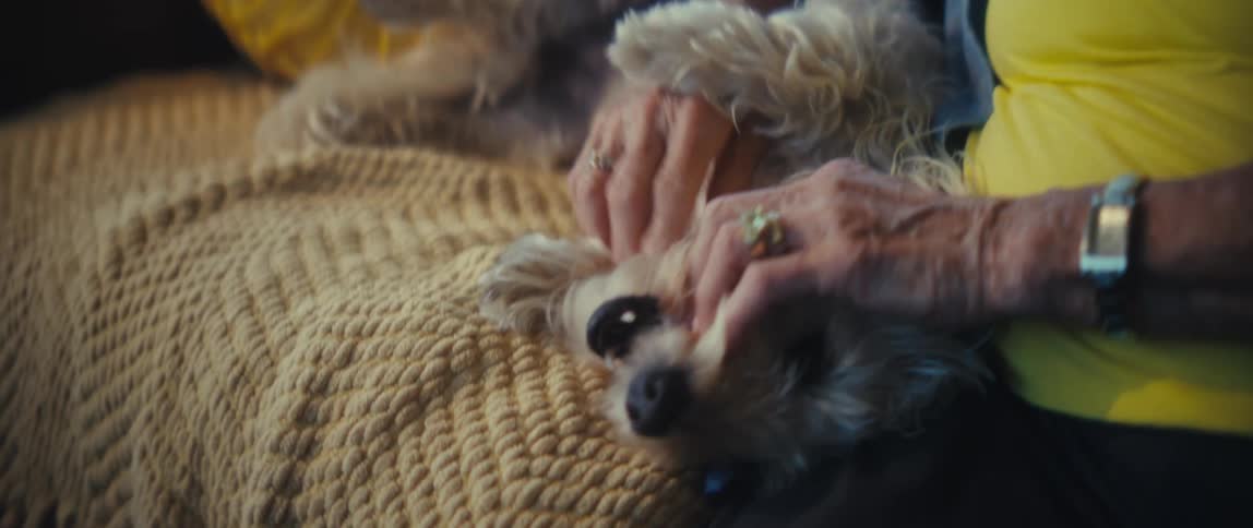 An elderly woman sits on a couch in the living room at midday excitedly petting her dog