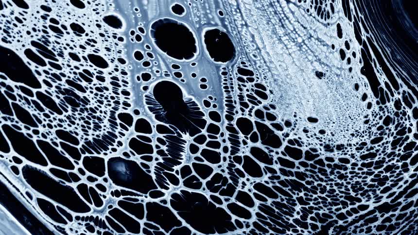 A closeup view of fluid art shows white paint separating across a dark surface creating a weblike pattern of interconnected circular voids that slowly shift