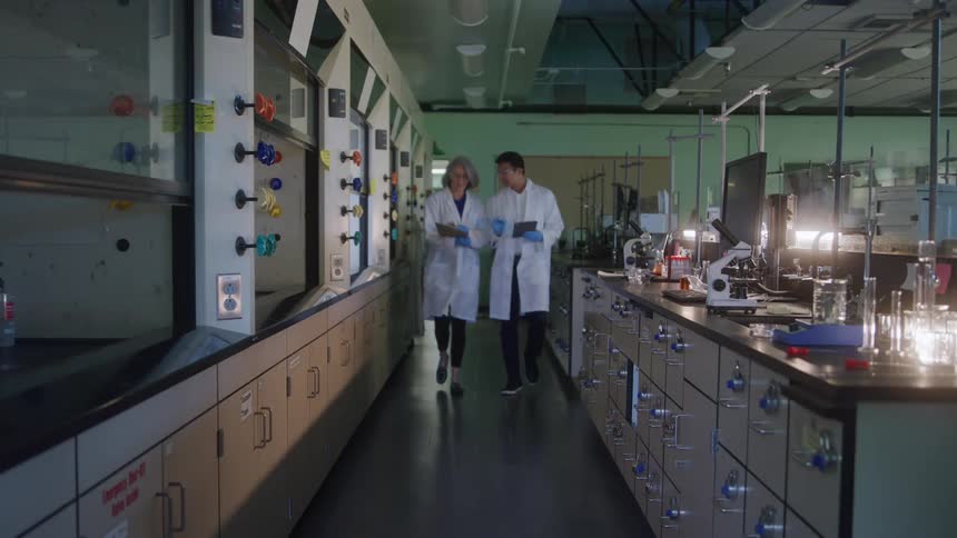 The scientists walk and talk in the lab