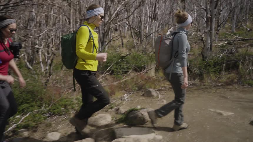 Three women hike in the woods