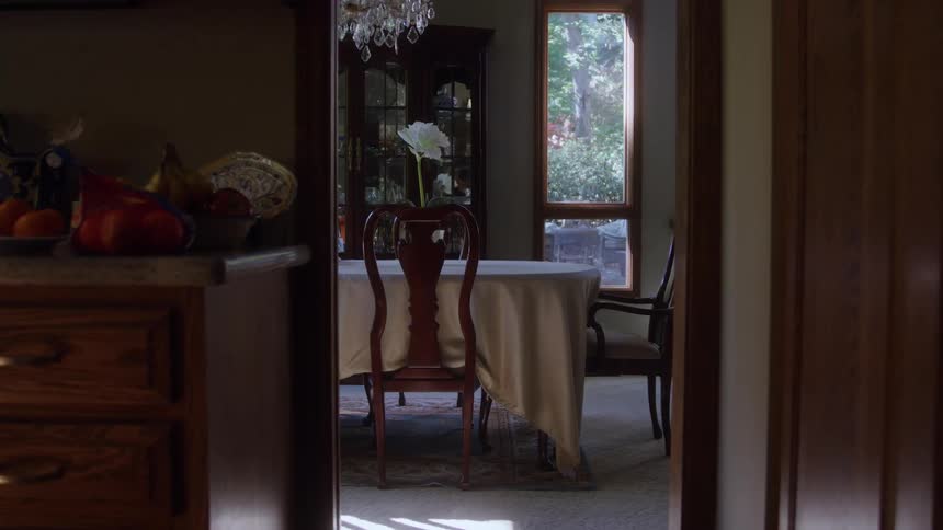 Fruit bowl on countertop in foreground contrasts with dining room lit by large windows in the background
