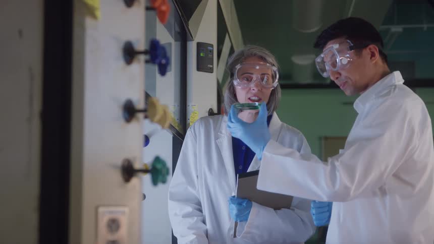 A male and female lab scientist both wearing lab coats gloves and goggles work together in the laboratory focused on their collaborative research