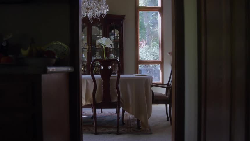 A woman in a light patterned dress walks into a sunlit dining room from a dark kitchen places plates on a table covered with a cream tablecloth near a tall window overlooking a bright leafy forest