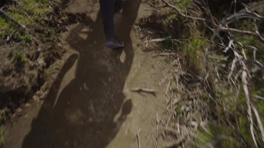 Hikers walk on a dirt trail surrounded by twigs and grass