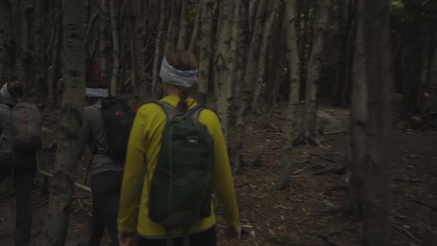 Group of people hiking on trail in shady forest