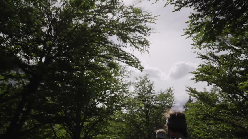 A man is hiking in the woods on a very windy day