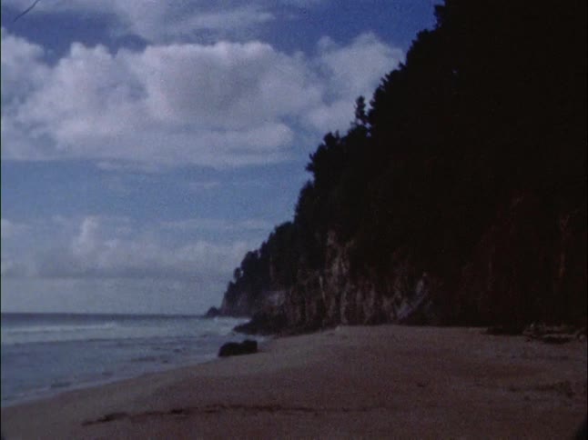 Trail leading to a beach
