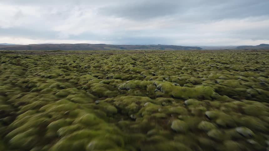 Mosscovered lava field stretches beneath cloudy sky revealing volcanic and tranquil landscape