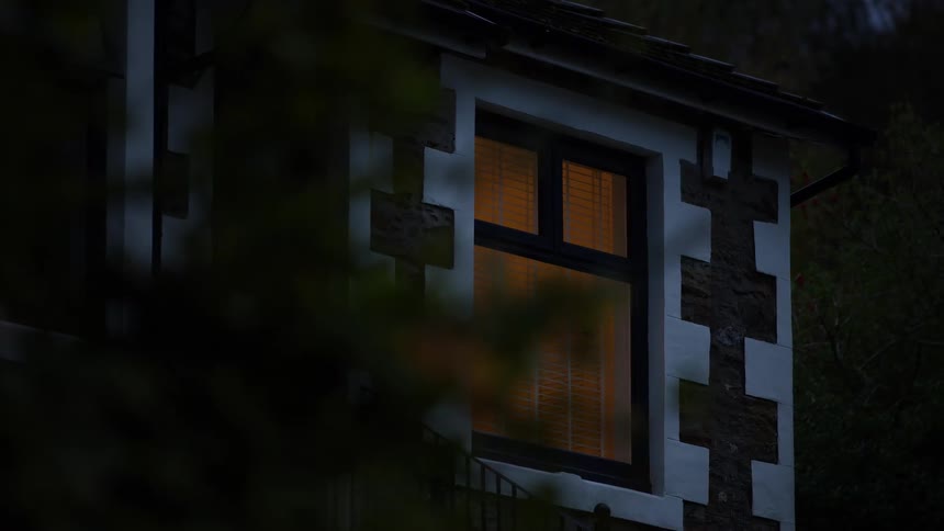 A warmly lit house window glows through dark foliage at night