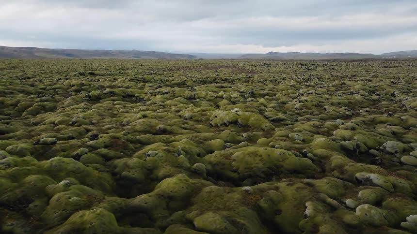 The landscape full of stones are covered with moss
