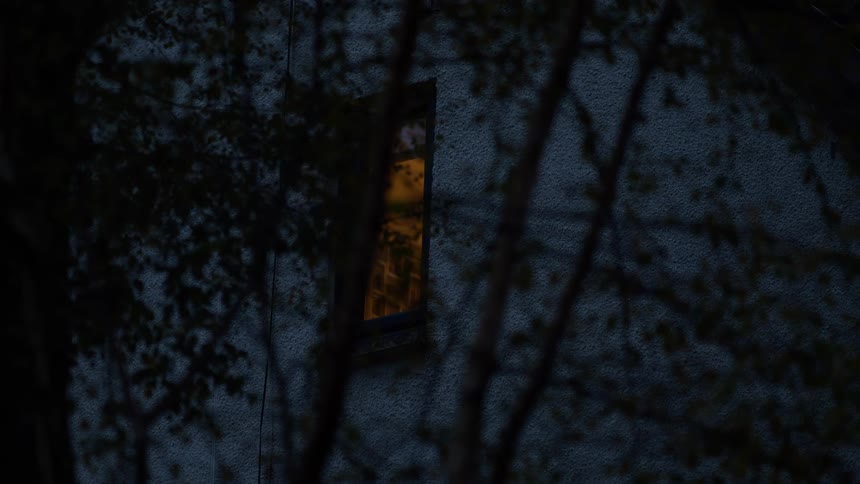 A narrow rectangular window on the side of a dark building shows a warm yellow light coming from the interior and the scene is framed by dark blurred tree branches at night