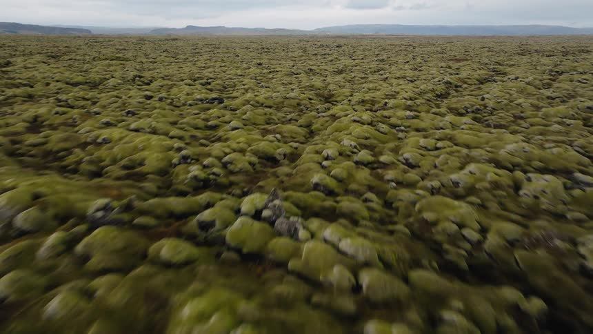 A wide expanse of rocky grassland stretches across the wild at midday sunlit terrain dotted with stones and sparse vegetation under a clear sky
