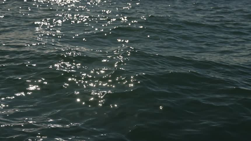 Sunlight reflects on the rough waters